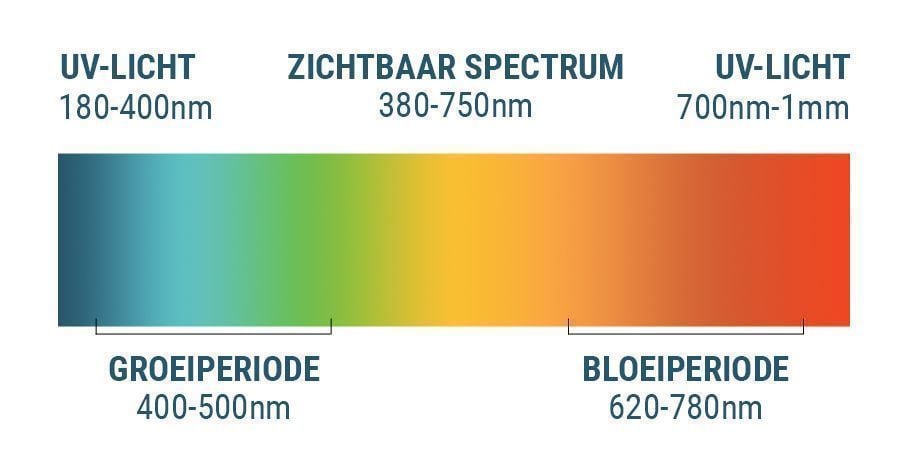 Het Lichtspectrum En Cannabis