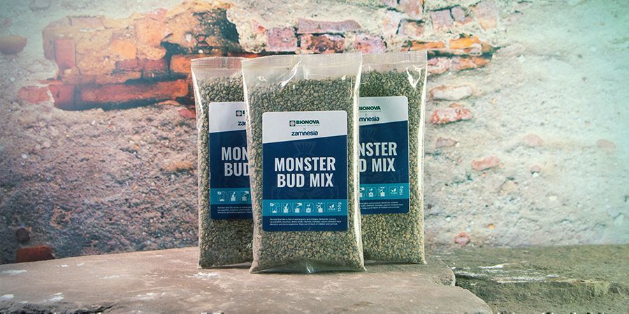 STAP 4: BEREID DE AARDE VOOR MET MEST, ZOALS MONSTER BUD MIX