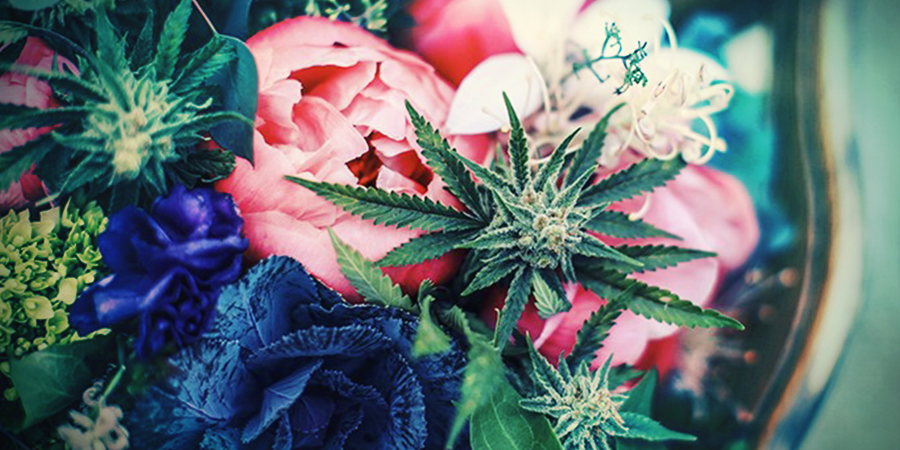 Fop Ze Met "Valse" Bloemen Fop Ze Met "Valse" Bloemen