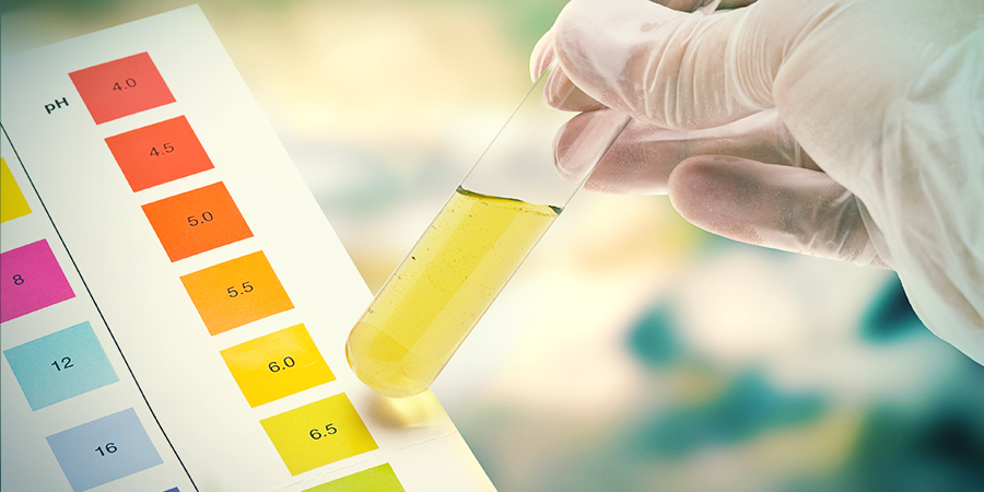 Optimale pH- En EC-waarden Voor Cannabis Kweek Optimale pH- En EC-waarden Voor Cannabis Kweek