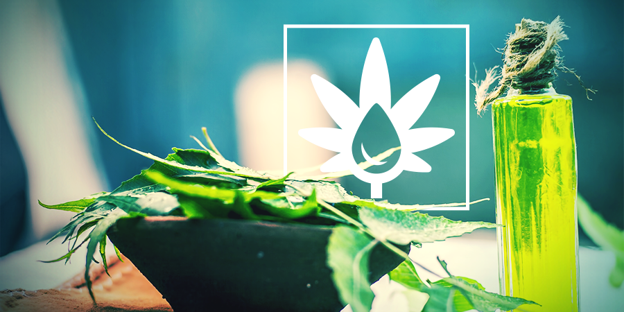 Neem Oil And Cannabis Plants Neem Oil And Cannabis Plants