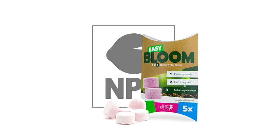 Easy Bloom Booster Tabletten