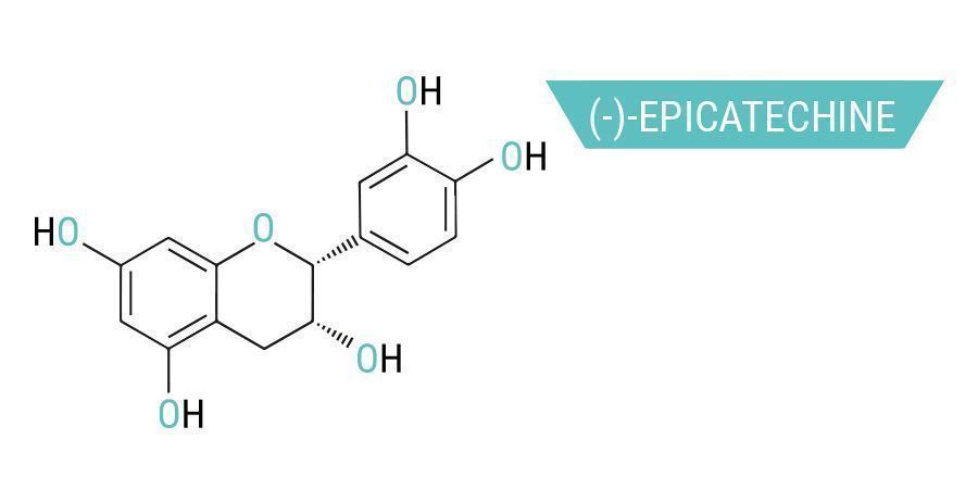 De vele chemische stoffen in kratom: (-)-Epicatechin