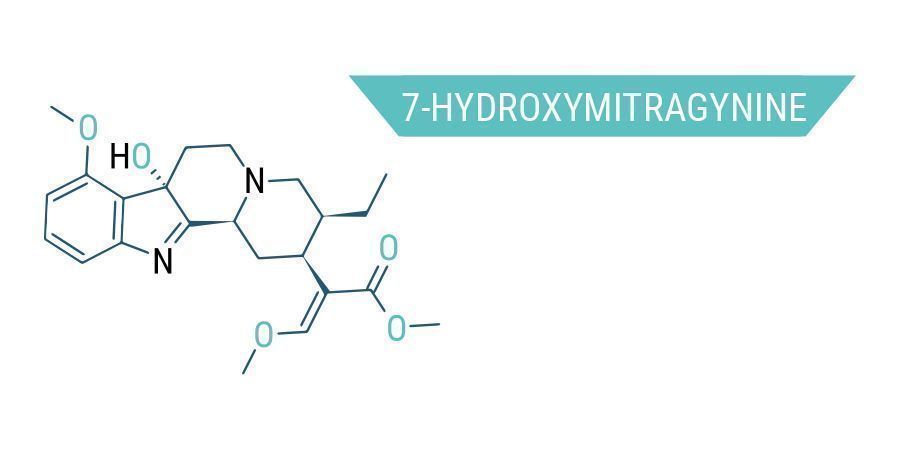 De vele chemische stoffen in kratom: 7-Hydroxymitragynine