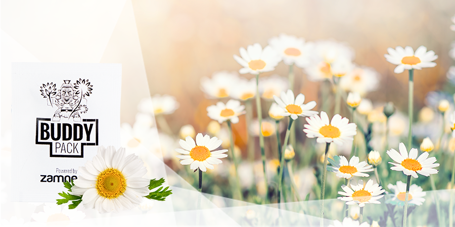 Nuttige Insecten Aantrekken