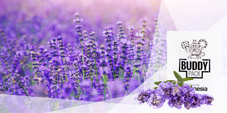 Schadelijke Insecten Verjagen