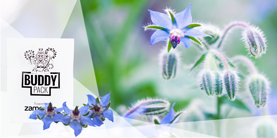 Voedingsstoffen En Verbetering Van De Aarde