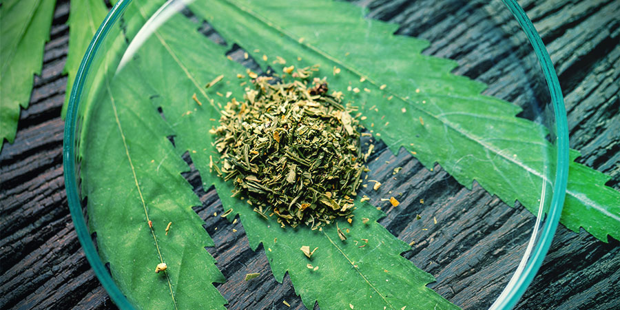 DE VERSCHILLENDE VARIËTEITEN KRATOM