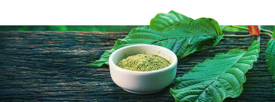 Informatie Over Kratom Informatie Over Kratom