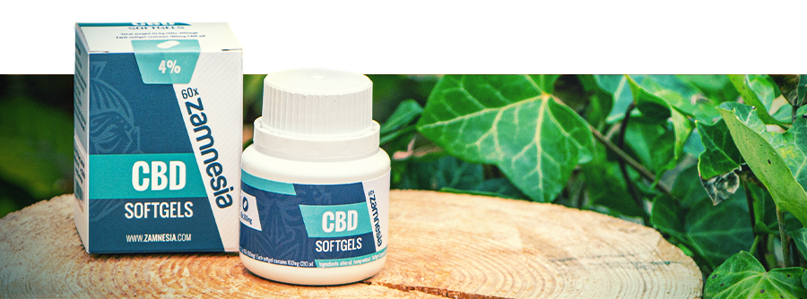 Informatie Over CBD Capsules