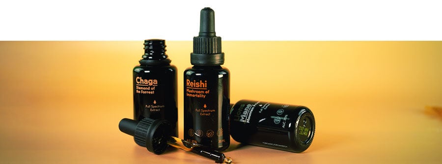 Welk Paddenstoel-supplement Past Het Beste Bij Jou? Welk paddenstoel-supplement past het beste bij jou?