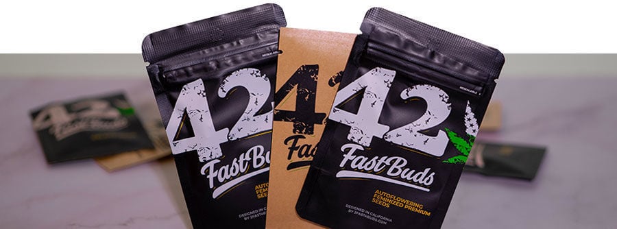 Informatie Over De Wietzaadjes Van FastBuds  Informatie Over De Wietzaadjes Van FastBuds