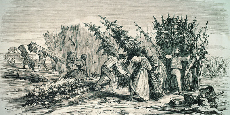 Het Ontstaan Van SSSC Het ontstaan van SSSC (Super Sativa Seed Club)