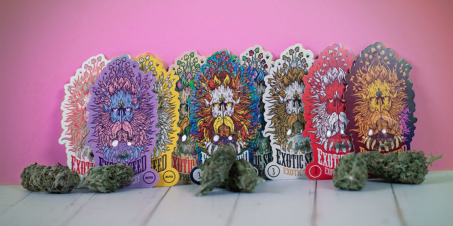 Bekroonde Wietsoorten Van Exotic Seed Bekroonde wietsoorten Exotic Seed