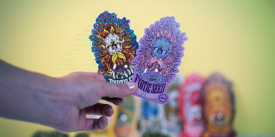 Exotic Seed: Hoogwaardige Wietzaadjes Nu Verkrijgbaar Exotic Seed: hoogwaardige wietzaadje