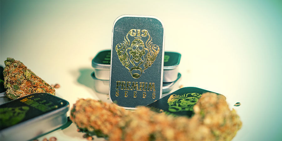 Wat Zijn De Top 3 Soorten Wiet Van G13 Labs? top 3 wietsoorten G13 Labs