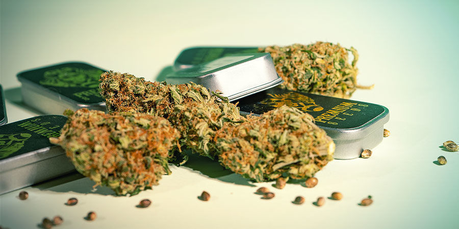 Hoe Onderscheidt G13 Labs Zich? Hoe onderscheidt G13 Labs zich?