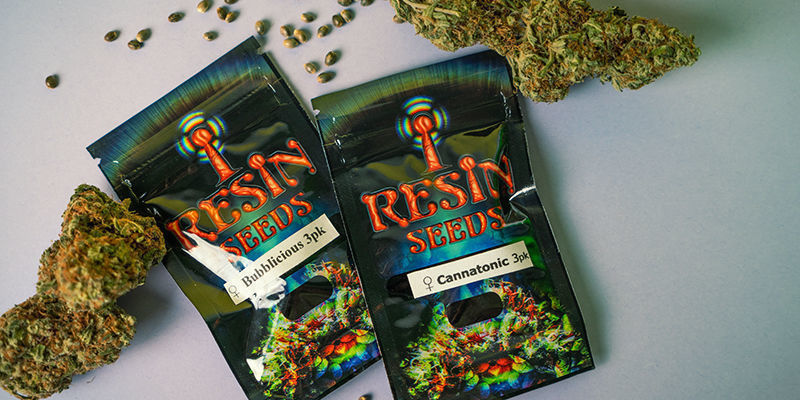 Hoe Worden Wietzaadjes Van Resin Seeds Verpakt? Resin Seeds verpakking