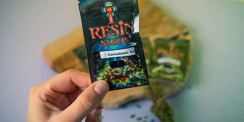 Resin Seeds: Grondleggers Van De CBD-Beweging Resin Seeds: grondleggers CBD-beweging