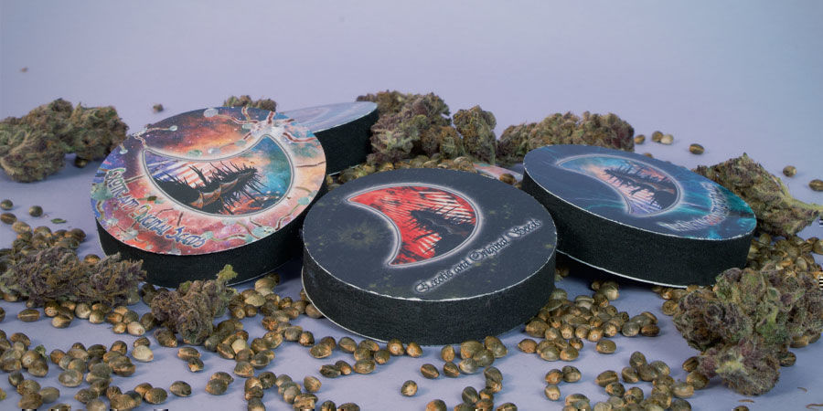 Hoe GeneSeeds wietzaadjes verpakt