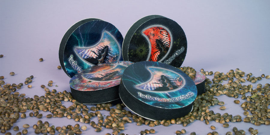 Beste soorten wiet GeneSeeds