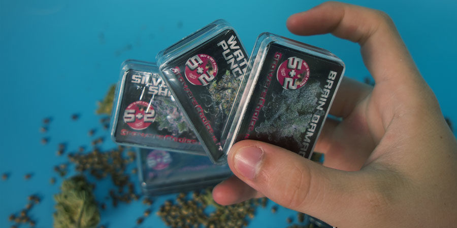 Growers Choice: Kies Voor Deze Zaden! kies Growers Choice
