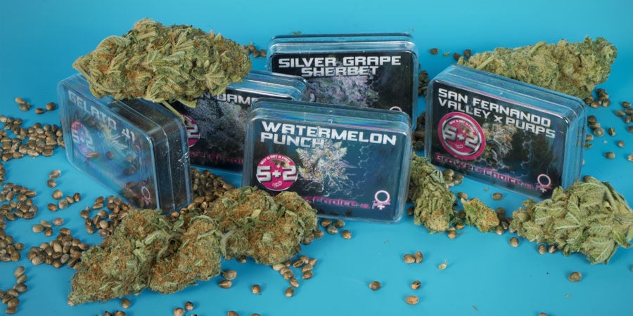 Wie Is Growers Choice? Wie is Growers Choice?