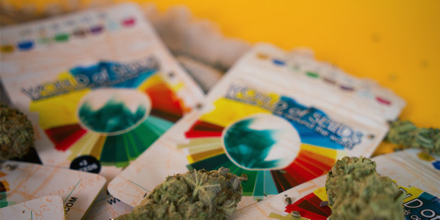 World Of Seeds: Er Gaat Een Wereld Voor Je Open!