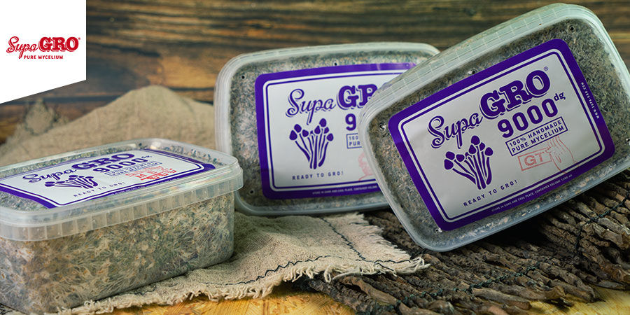 Grow Kits Supa Gro Paddo Grow Kits Supa Gro