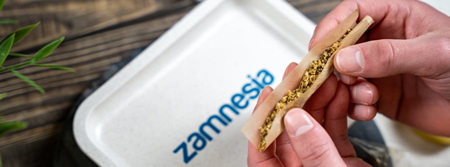 De Zamnesia headshop