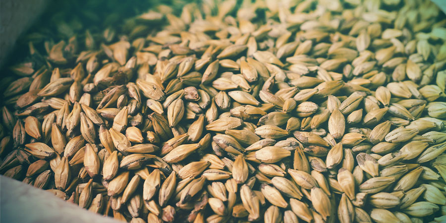 Verschillende soorten malt Verschillende soorten malt