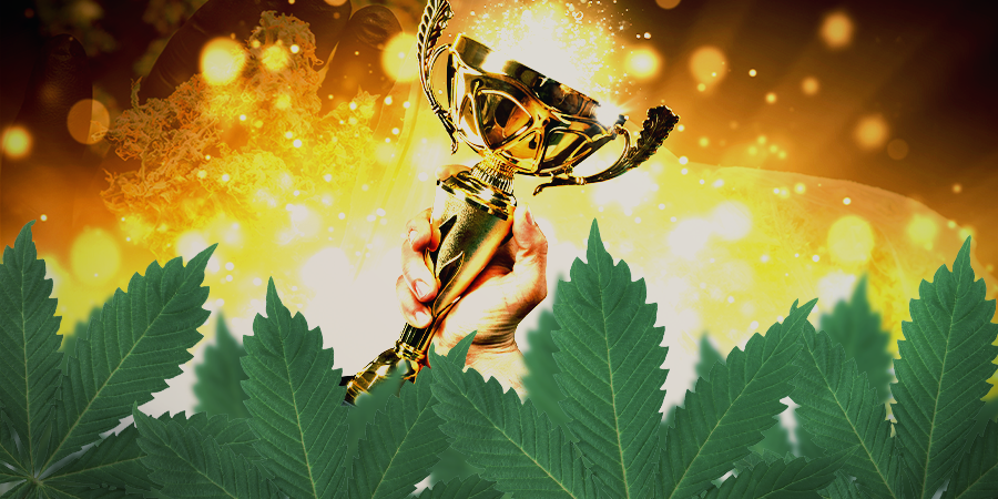 Is Sensi Seeds de moeite waard?