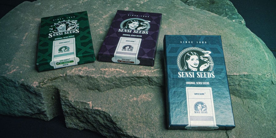 Verpakking Sensi Seeds Verpakking Sensi Seeds
