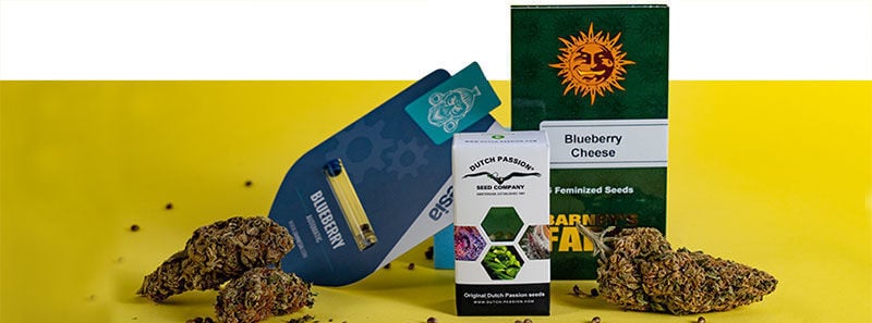 Over Blueberry-strains Over Blueberry-strains