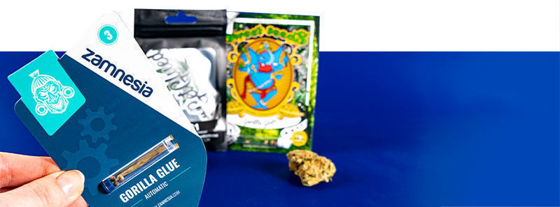 Over Gorilla Glue strains Over Gorilla Glue strains