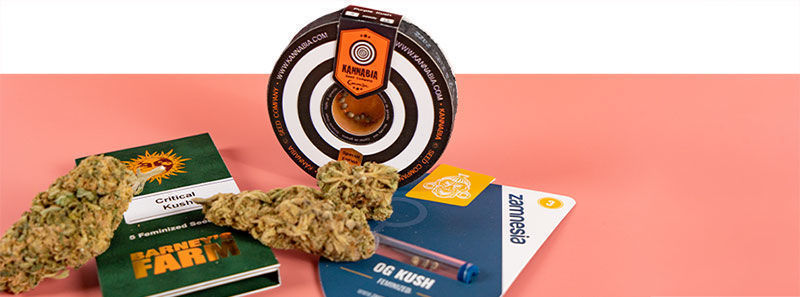 Over Kush-strains Over Kush-strains