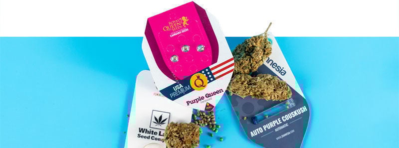 Over Purple-wietsoorten Over Purple-wietsoorten