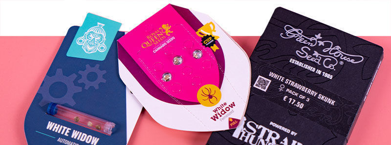 Over White Widow strains Over White Widow strains