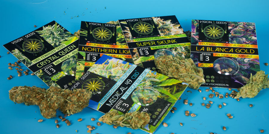 Het Verhaal Achter Vision Seeds Het Verhaal Achter Vision Seeds