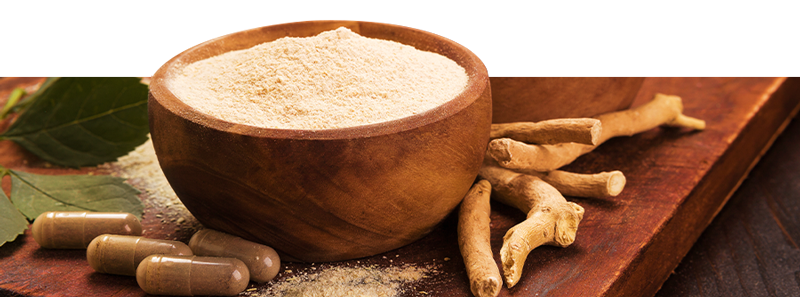 Bestel Ayurveda producten online bij Zamnesia