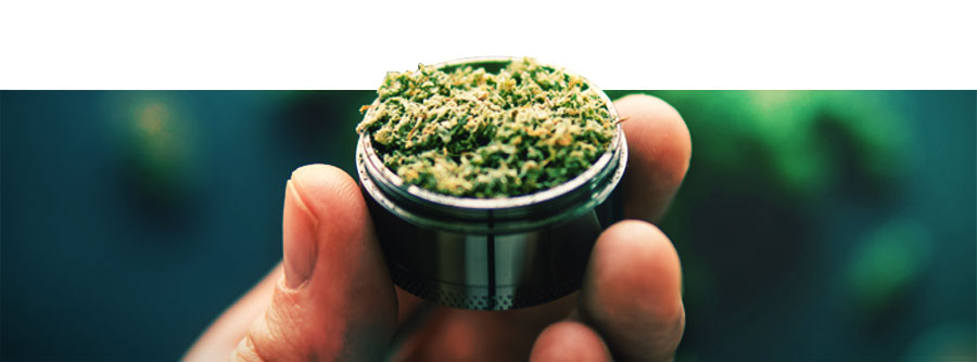 Wiet Grinders Wiet Grinders
