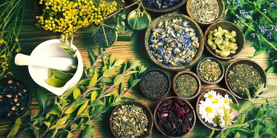 Natuurlijk Conditie Opbouwen Met Kruiden Natuurlijk conditie opbouwen met kruiden