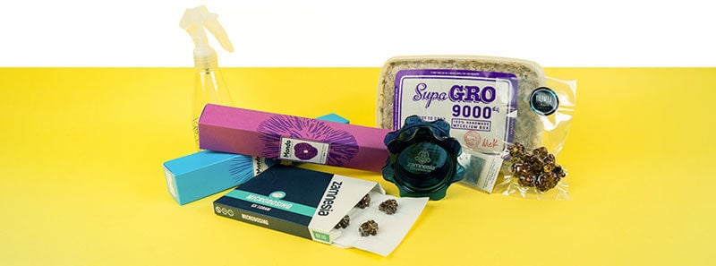 Alles wat je nodig hebt voor intense trips en microdosing