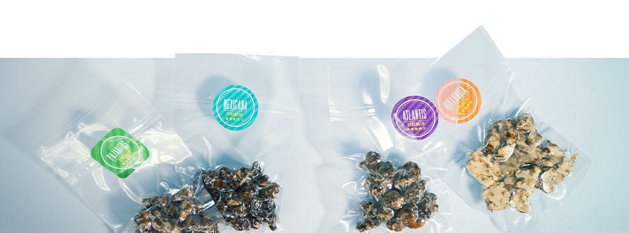 Koop magic truffels online bij Zamnesia