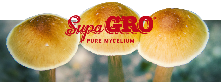Supa Gro Magic Mushroom Grow Kits Supa Gro Magic Mushroom Grow Kits