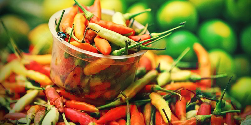 Waarom Zou Je Je Eigen Chilipepers Kweken? Waarom Zou Je Je Eigen Chilipepers Kweken?