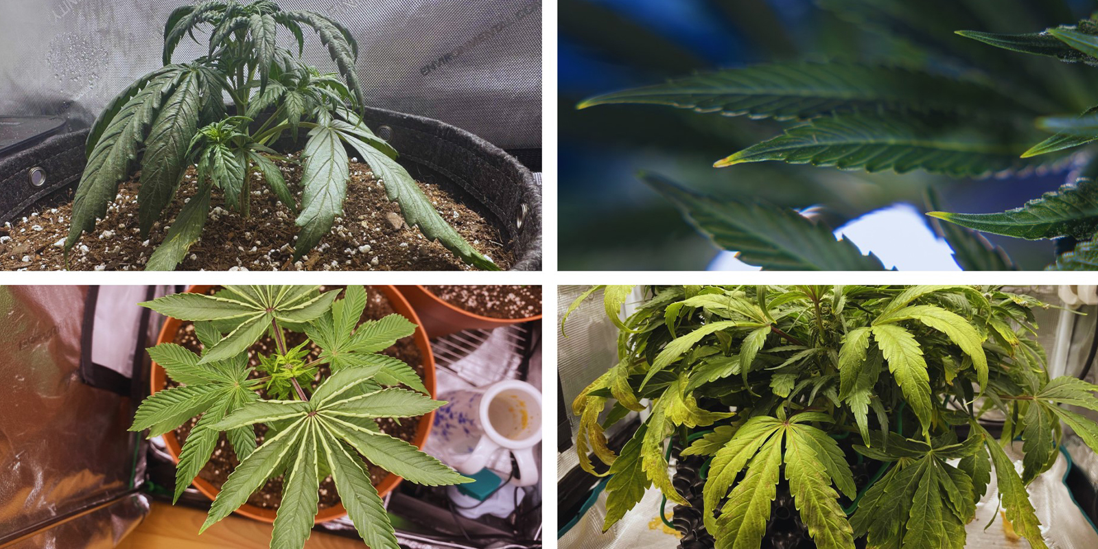 Snelle symptomen-checklist Snelle symptomen-checklist