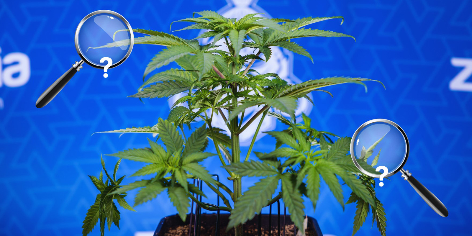 Stap-voor-stap herstel Stap-voor-stap herstel