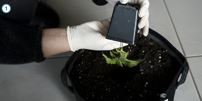 De daadwerkelijke verhuizing