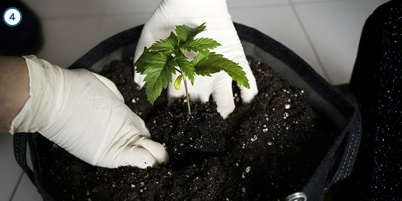 De daadwerkelijke verhuizing